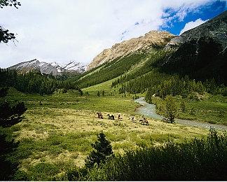 光荣员工将从2500扩张至5000人 看好3A游戏市场增长