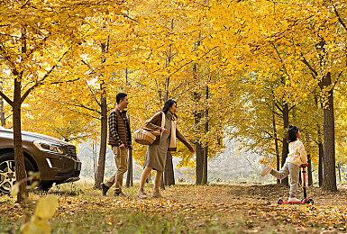 《艾尔登法环》“海贼王”Mod分享 褪色者变身路飞